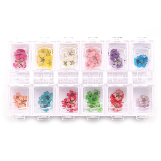 Dried Flowers 12 Colors